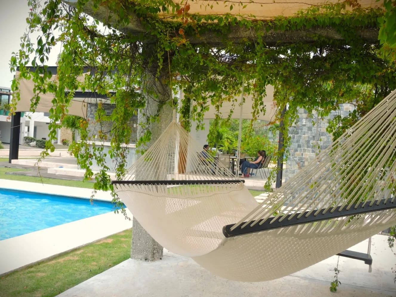 Hamaca bajo una pérgola con enredaderas junto a la alberca